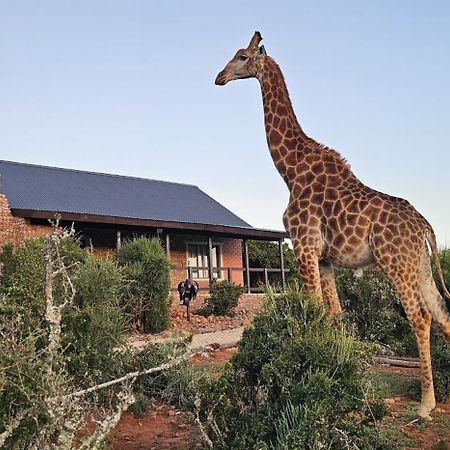 Valley Bushveld Country Lodge Addo Exterior photo